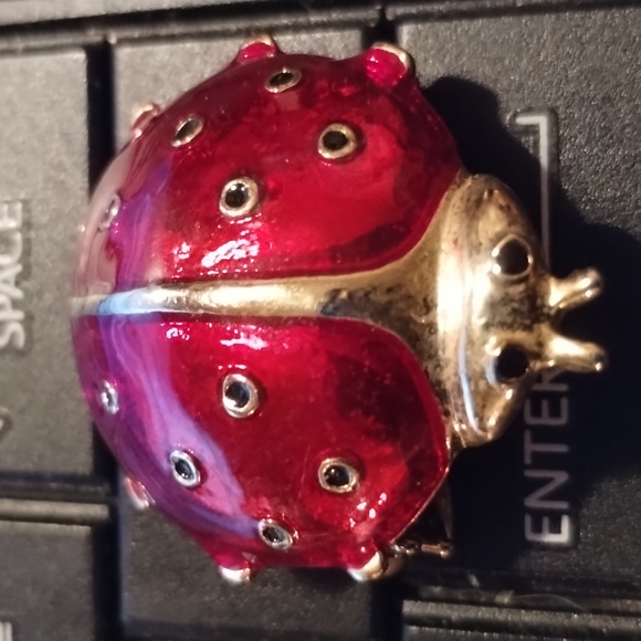 Exquisite vintage red ladybug brooch - Picture 2 of 2